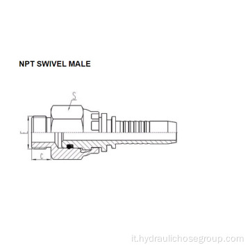 Filettatura NPT Girevole Maschio 15611SW